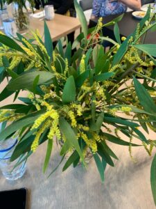 Mimosa flowers at a Women's History Month event.